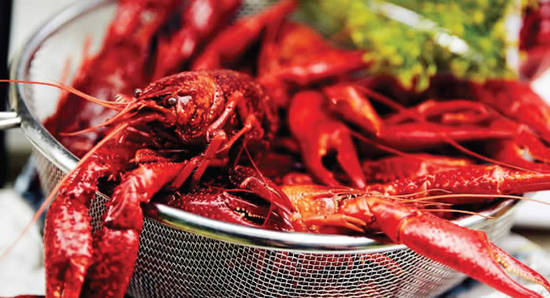 IKEA Crayfish Party 27 Jul 2016 IKEA Crayfish Party 27 Jul 2016