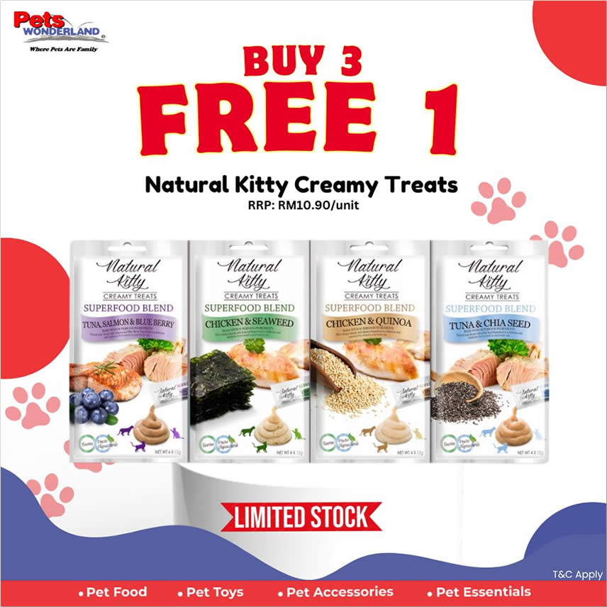 Pets Wonderland 1 27 Oct 2025